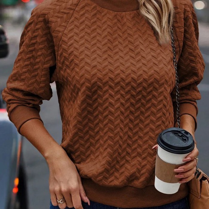 Solid Textured Raglan Sleeve Pullover Sweatshirt