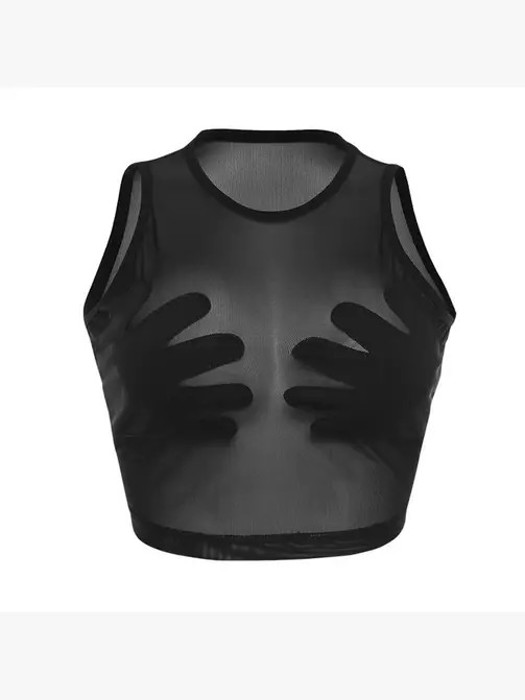 Miss Sparkling Mesh Crop Top