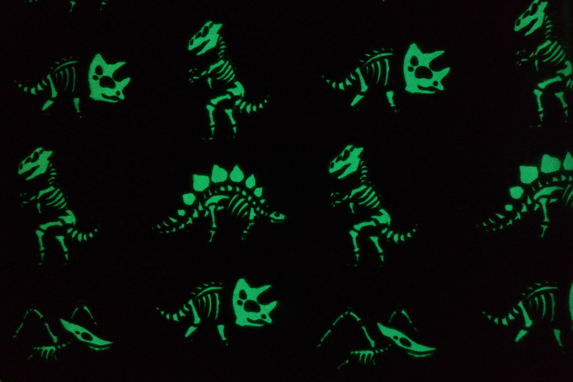 Glow in the Dark Blankets