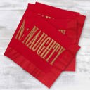  Naughty And Nice Cocktail Napkins / 40 Funny 3 Ply Paper Christmas Napkins / 2 Santa Designs / 4 3/4" x 4 3/4" Red And Green With Gold Foil Winter Holiday Beverage Napkin Set / Made In The USA