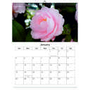 Camellia 2026 Wall Calendar - Botanical Photography - 12-Month Bloom Series - 8.5x11 Wire-O Hanging Planner