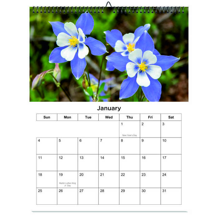 2026 Wall Calendar - Botanical Photography - 12-Month Bloom Series - 8.5x11 Wire-O Hanging Planner