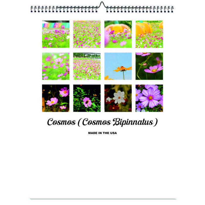 2026 Wall Calendar - Botanical Photography - 12-Month Bloom Series - 8.5x11 Wire-O Hanging Planner