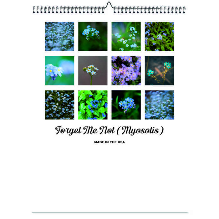2026 Wall Calendar - Botanical Photography - 12-Month Bloom Series - 8.5x11 Wire-O Hanging Planner