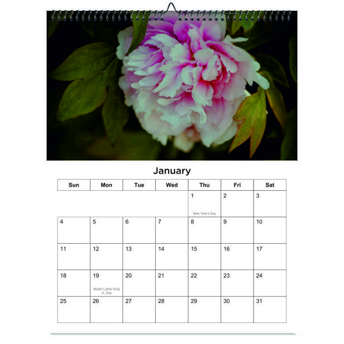 2026 Wall Calendar - Botanical Photography - 12-Month Bloom Series - 8.5x11 Wire-O Hanging Planner