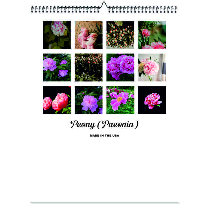 2026 Wall Calendar - Botanical Photography - 12-Month Bloom Series - 8.5x11 Wire-O Hanging Planner