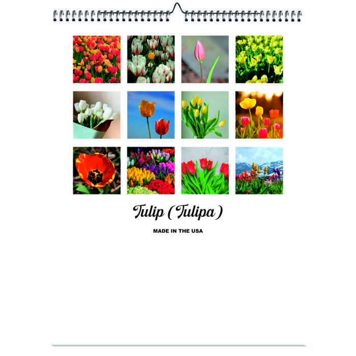 2026 Wall Calendar - Botanical Photography - 12-Month Bloom Series - 8.5x11 Wire-O Hanging Planner