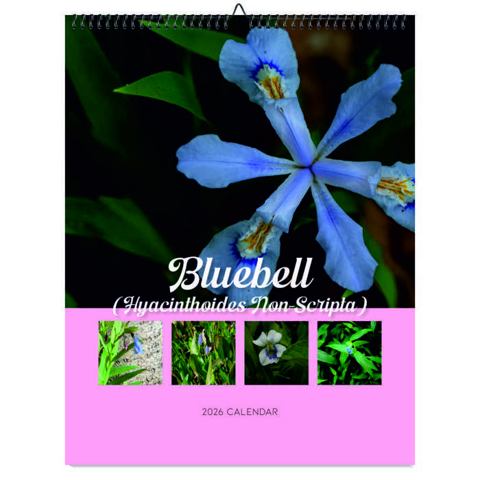 2026 Wall Calendar - Botanical Photography - 12-Month Bloom Series - 8.5x11 Wire-O Hanging Planner