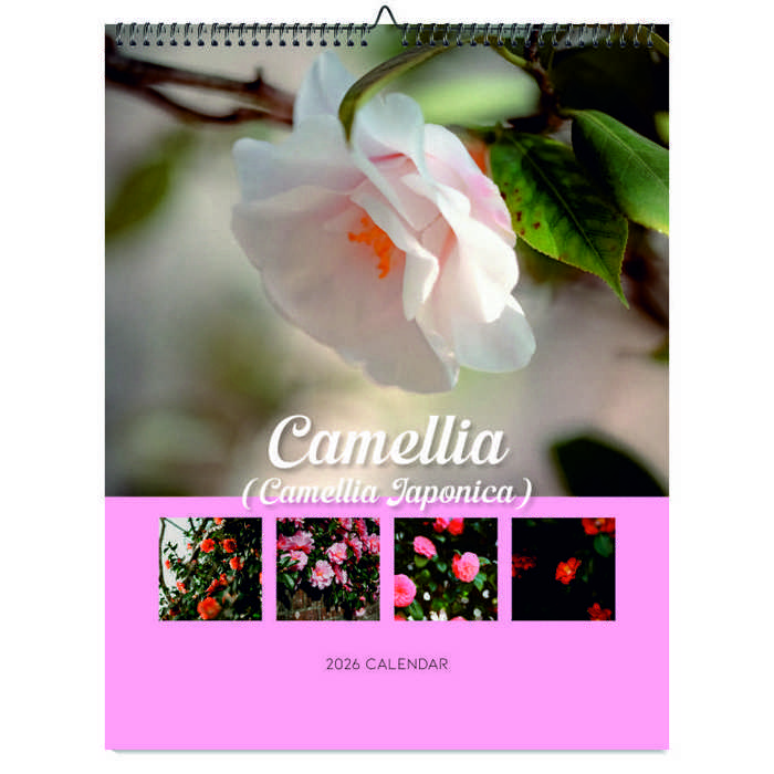 2026 Wall Calendar - Botanical Photography - 12-Month Bloom Series - 8.5x11 Wire-O Hanging Planner