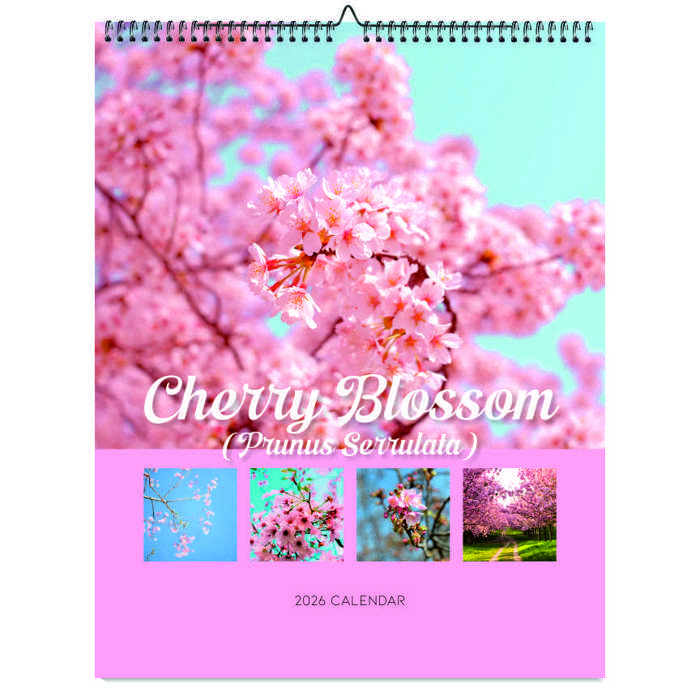 2026 Wall Calendar - Botanical Photography - 12-Month Bloom Series - 8.5x11 Wire-O Hanging Planner