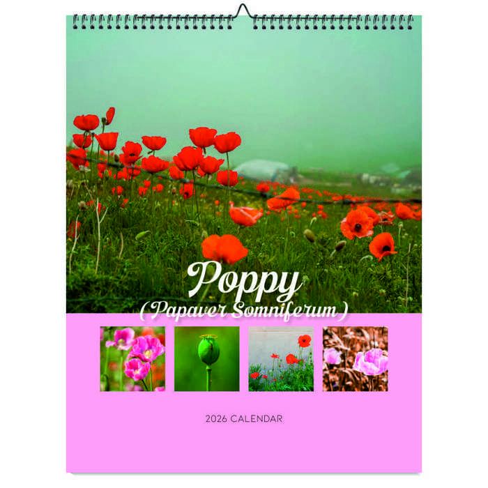 2026 Wall Calendar - Botanical Photography - 12-Month Bloom Series - 8.5x11 Wire-O Hanging Planner