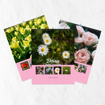 2026 Wall Calendar - Botanical Photography - 12-Month Bloom Series - 8.5x11 Wire-O Hanging Planner