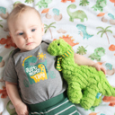 Dinosaurs Premium Baby & Toddler Minky Blanket 30x40  - The Classics