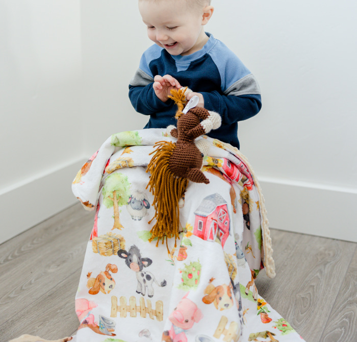 Premium Baby & Toddler Minky Blanket 30x40  - The Classics