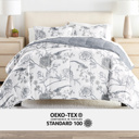 Queen Molly Botanicals Light Blue Bedding Bundle, Patterned Microfiber Comforter Set and Solid Sheet Set
