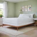 Twin XL Fitted Mattress Protector with Comfortable Padding