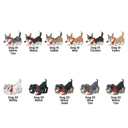  Where Did My Dog Go?: A Personalized Doggy Search-and-Find Adventure Book