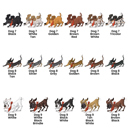  Where Did My Dog Go?: A Personalized Doggy Search-and-Find Adventure Book