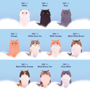  Rainbow Bridge Personalized Cat Book