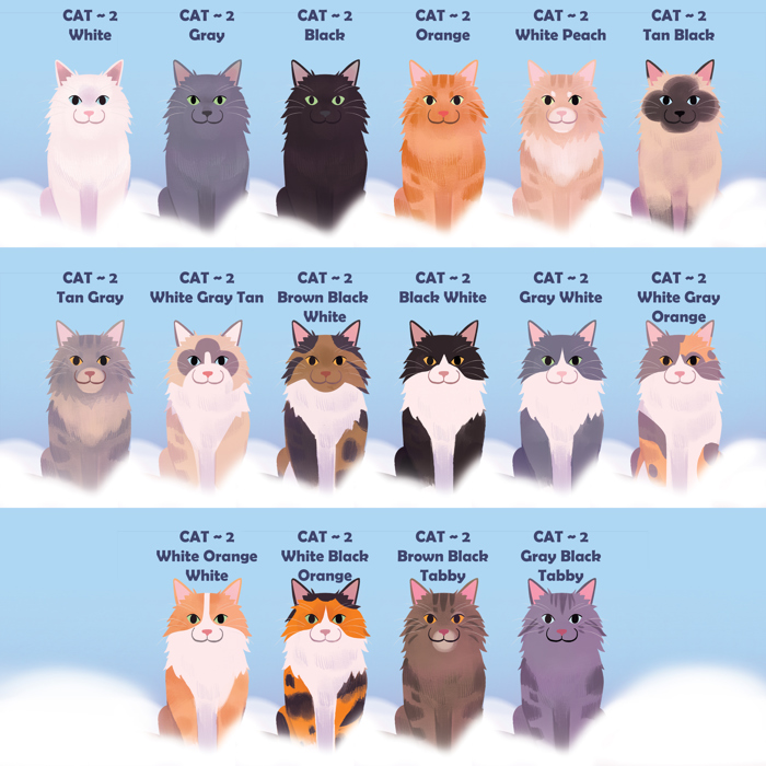 Rainbow Bridge Personalized Cat Book