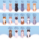  Rainbow Bridge Personalized Cat Book