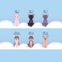  Rainbow Bridge Personalized Cat Book