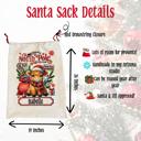  Personalized Reindeer Kids Santa Sack, Present Bag, Christmas Gift Sack, Gift Bag For Girl or Boy, Christmas Decor, Large Canvas Gift Bag