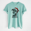 Small Chalky Mint - Doberman Pinscher Natural Santa Dog Breed Comfort Colors T-shirts - 40+ Dog Breeds