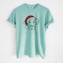 Medium Chalky Mint - Great Dane Santa Dog Breed Comfort Colors T-shirts - 40+ Dog Breeds