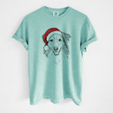 Medium Chalky Mint - Australian Shepherd Santa Dog Breed Comfort Colors T-shirts - 40+ Dog Breeds