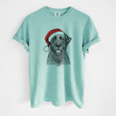 Small Chalky Mint - Black Lab Santa Dog Breed Comfort Colors T-shirts - 40+ Dog Breeds
