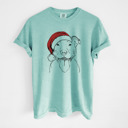 XXL Chalky Mint - Pitbull Santa Dog Breed Comfort Colors T-shirts - 40+ Dog Breeds