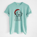 Medium Chalky Mint - Golden Retriever Santa Dog Breed Comfort Colors T-shirts - 40+ Dog Breeds