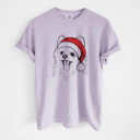 Large Orchid - Pomeranian Santa Dog Breed Comfort Colors T-shirts - 40+ Dog Breeds
