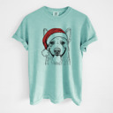 Medium Chalky Mint - Australian Cattle Dog Santa Dog Breed Comfort Colors T-shirts - 40+ Dog Breeds