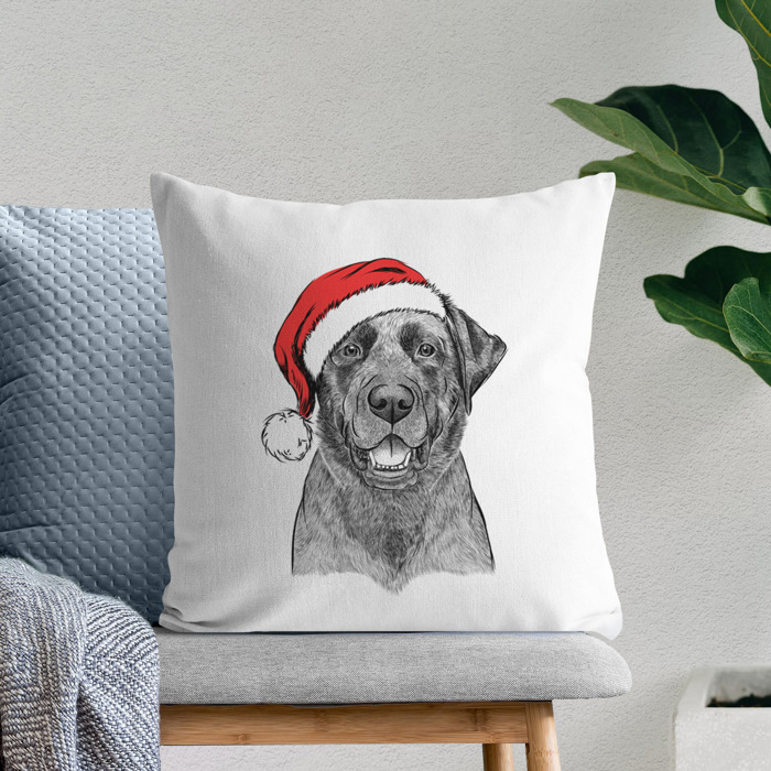 Santa Hat Dog Breed Throw Pillow Cover - 40+ Dog Breeds