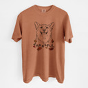 XXL Ivory - Corgi Detailed Hand Drawn Thankful Dog Breed Comfort Colors T-shirts - 25+ Dog Breeds