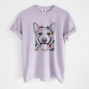 Small Orchid - Australian Cattle Dog Christmas Lights Dog Breed Comfort Colors T-shirts - 40+ Dog Breeds