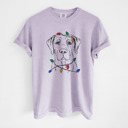 XL Orchid - Labrador Retriever 1 Christmas Lights Dog Breed Comfort Colors T-shirts - 40+ Dog Breeds