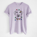 XL Orchid - Yellow Lab Christmas Lights Dog Breed Comfort Colors T-shirts - 40+ Dog Breeds