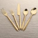  Estique PVD 5 Pcs. Flatware Set