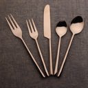  Sundance Flatware, 5-Pc. Place Setting