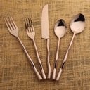  Tedpole Flatware, 5-Pc. Place Setting