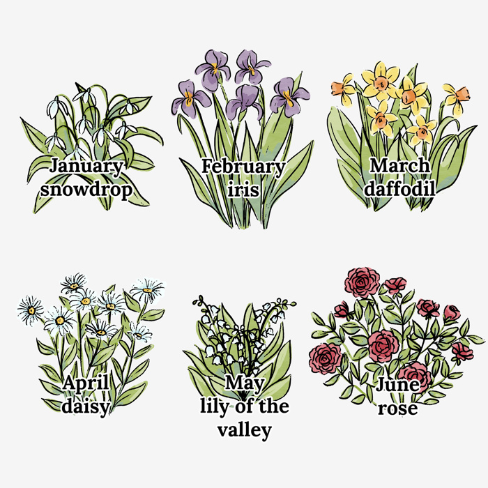 Birth Flower Garden Art Print | Up to 8 Flowers