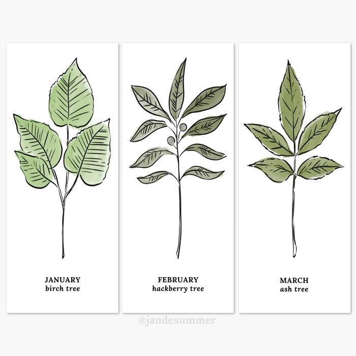 Couples Birth Tree Art Print | Unframed Wedding Anniversary Gift