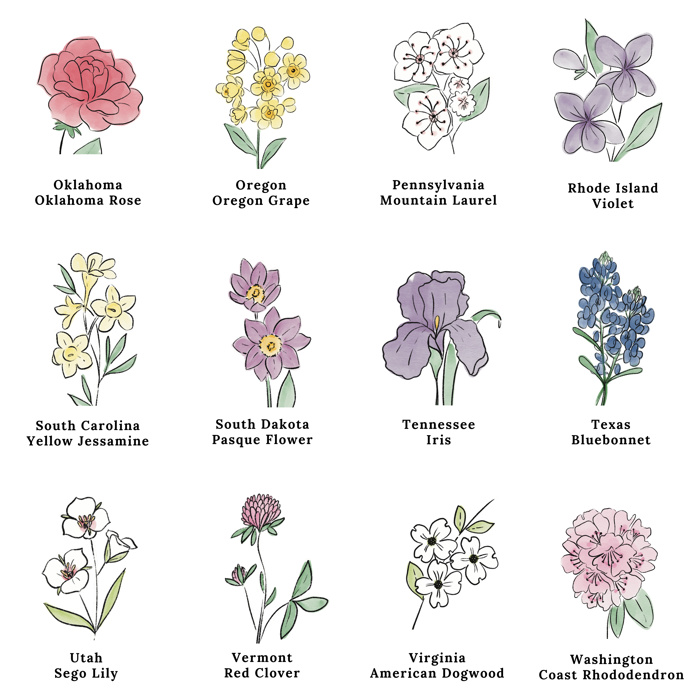 Custom State Flower Bouquet Print up to 8 Flowers