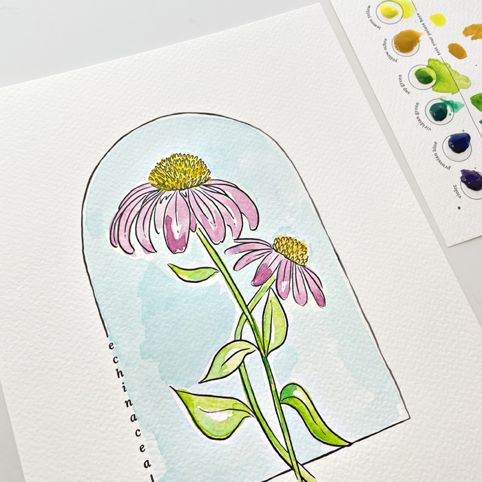 3 Pk All In One Watercolor Paint Kit | 8X10" Floral Outline 45 Options
