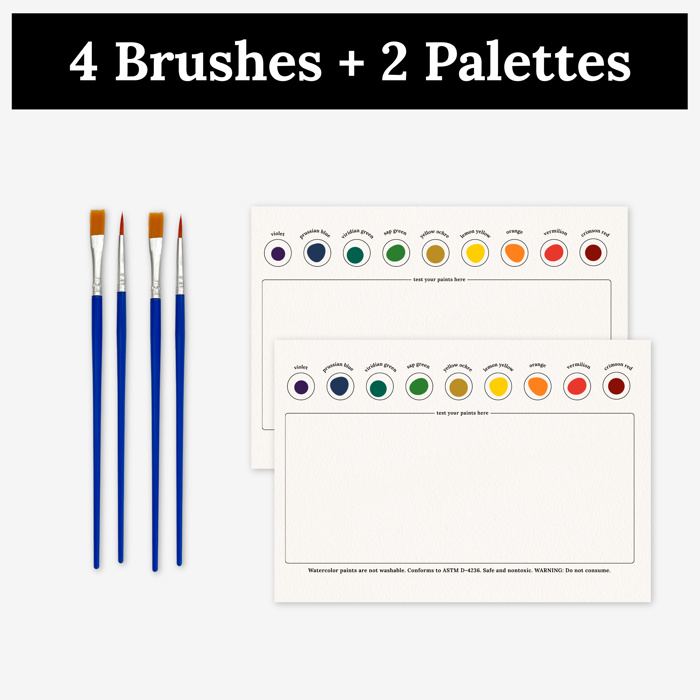 3 Pk All In One Watercolor Paint Kit | 8X10" Floral Outline 45 Options