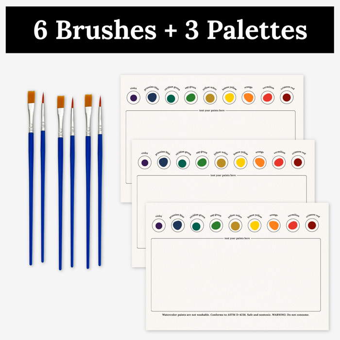 3 Pk All In One Watercolor Paint Kit | 8X10" Floral Outline 45 Options