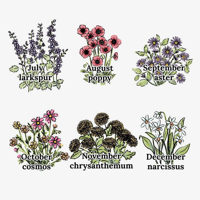 Birth Flower Garden Art Print | Up to 8 Flowers